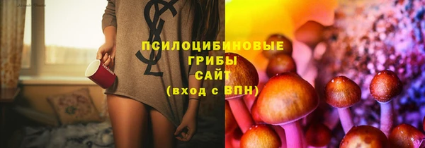 ECSTASY Алексеевка